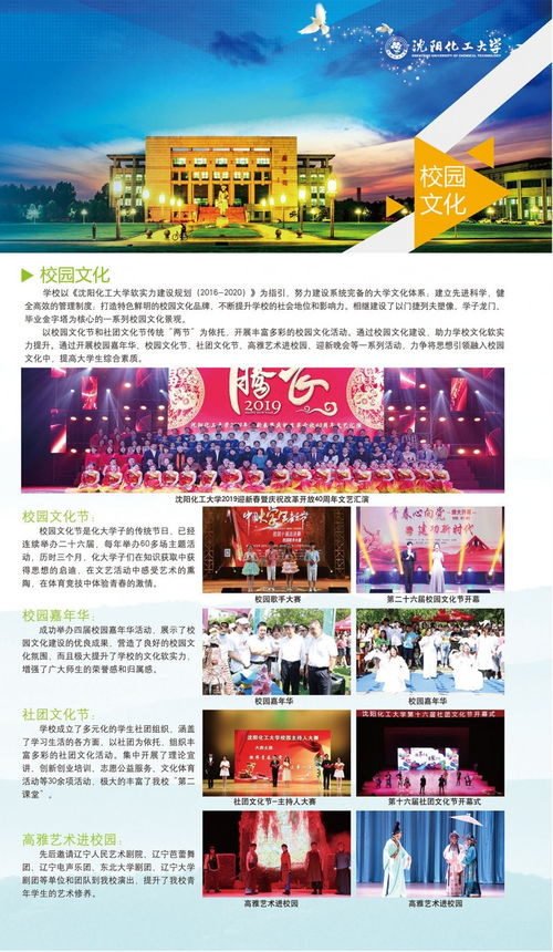 2019年沈阳化工大学招生简章
