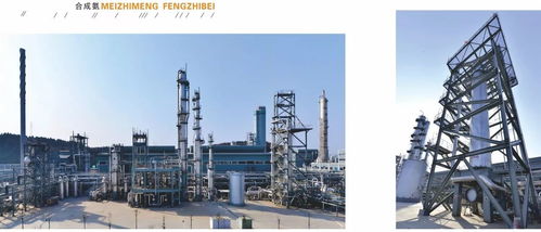 中国化工报聚焦四川美丰，一项关键工艺通过科技成果鉴定